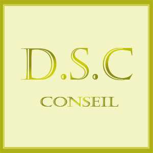 DSC CONSEIL, un créateur de site à Draguignan